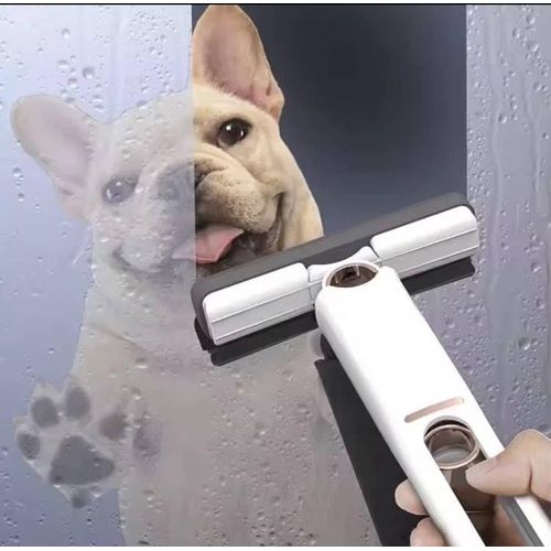 Mini Glass Window & Shower Squeegee Cleaner