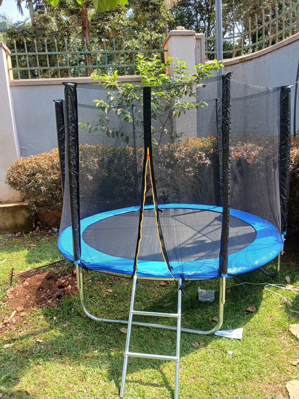 8 Feet Trampoline with Safety Net & Ladder