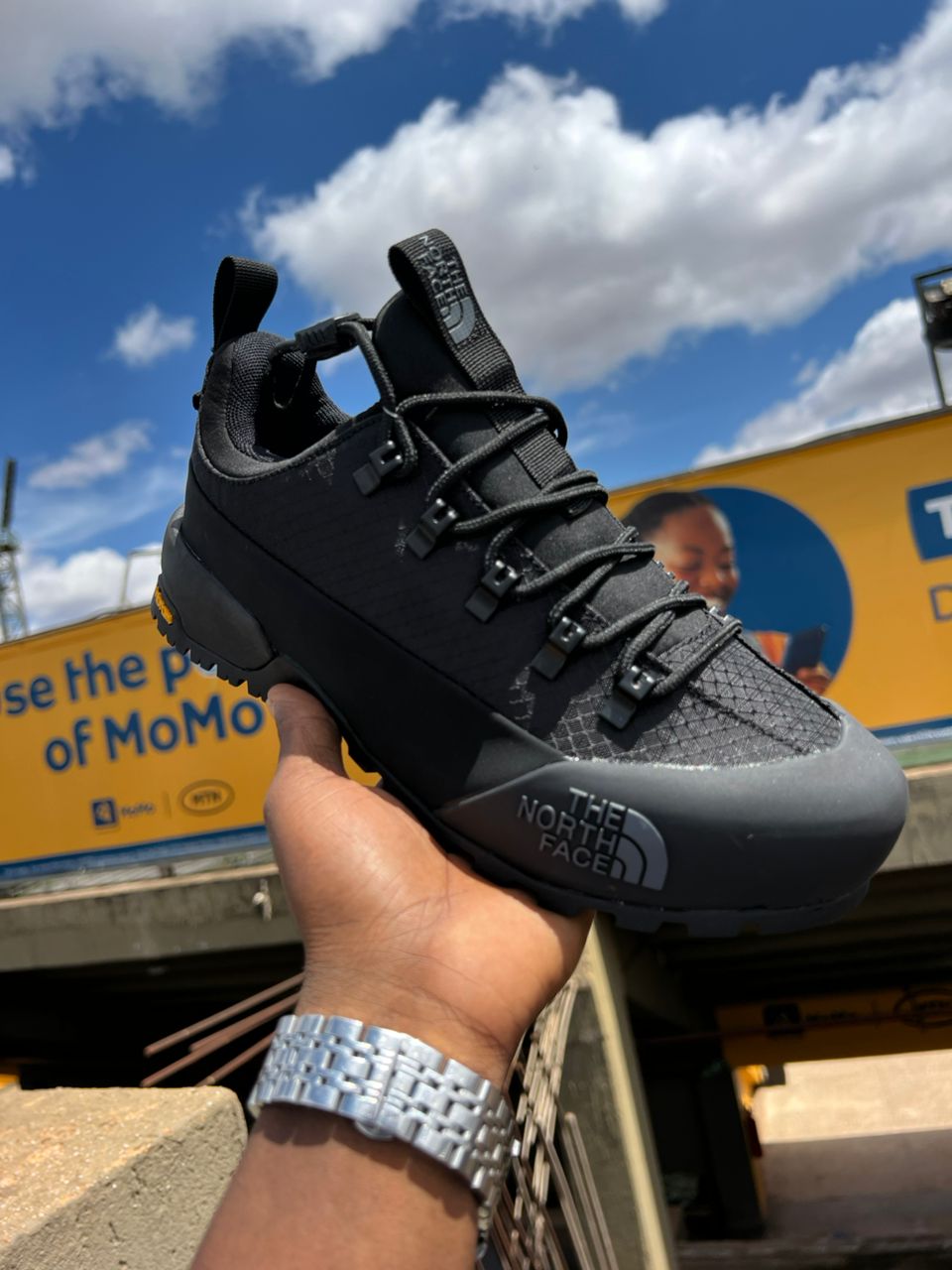 The North Face Low-Top Hiking Sneaker