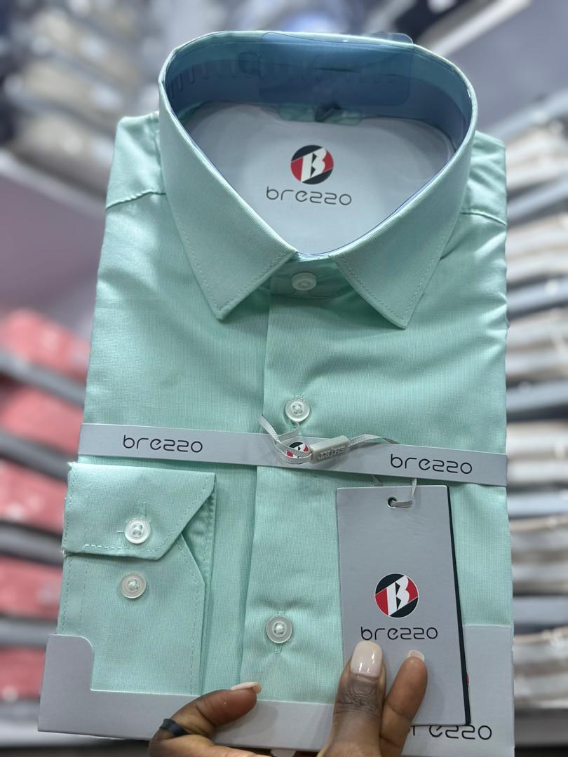 Men's Mint Green Formal Dress Shirt – Brezzo