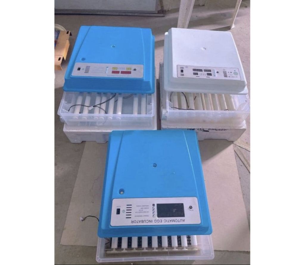 50 Egg Incubator – Automatic Digital Hatcher