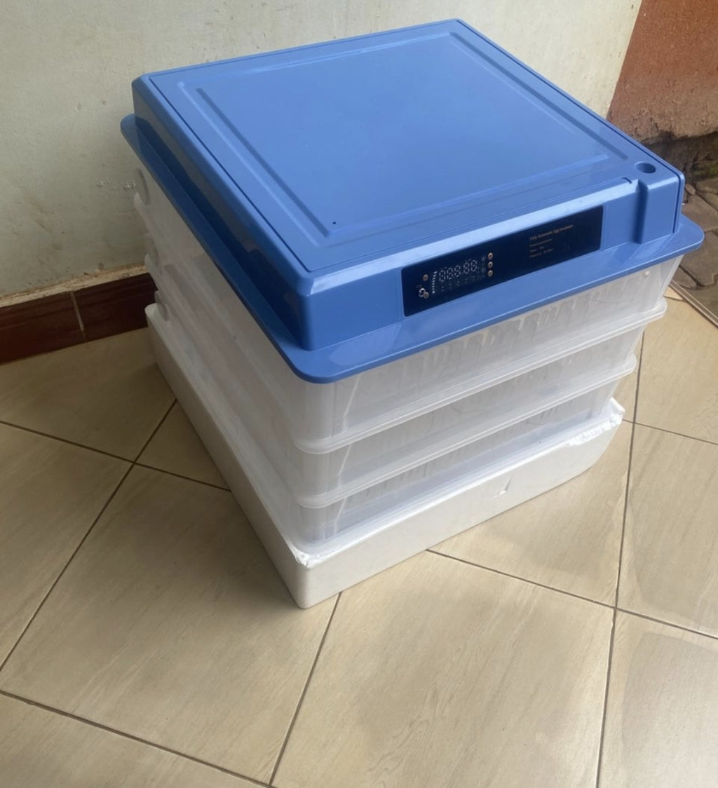440 Eggs Automatic Incubator