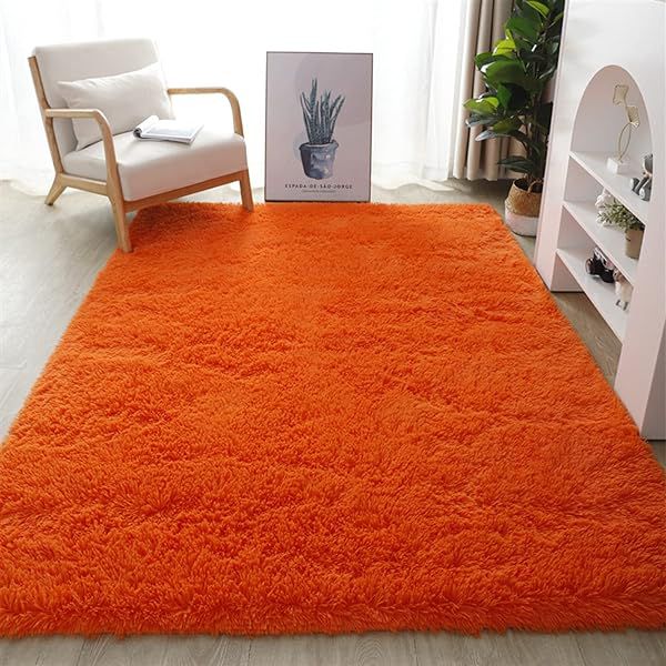 Fluffy Shaggy Rug | 2x2.5m