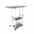 Adjustable Standing Desk with Wheels