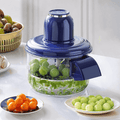 Electric Food Chopper & Automatic Fruit Peeler Machine – Large Glass Bowl