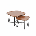 Cloud Shape Nesting Coffee Tables Set of 2